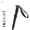 NPOT nordic hiking walking sticks for kids best nordic walking sticks 2021